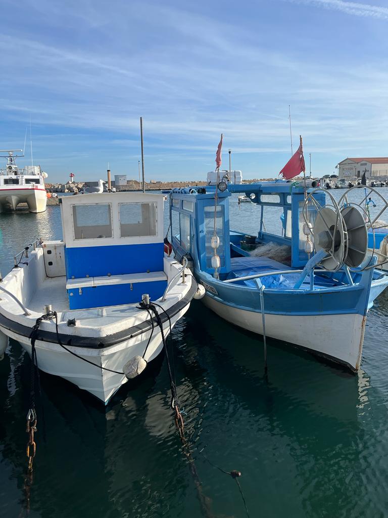 2 bateaux de peche sur Carro