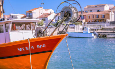 Les bateaux de pêche