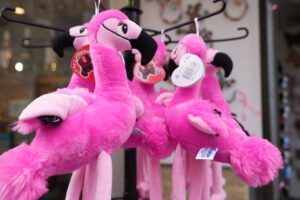 Les flamants roses