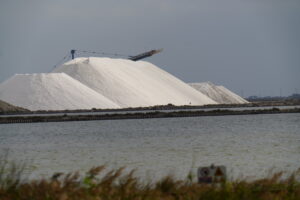 Les salins